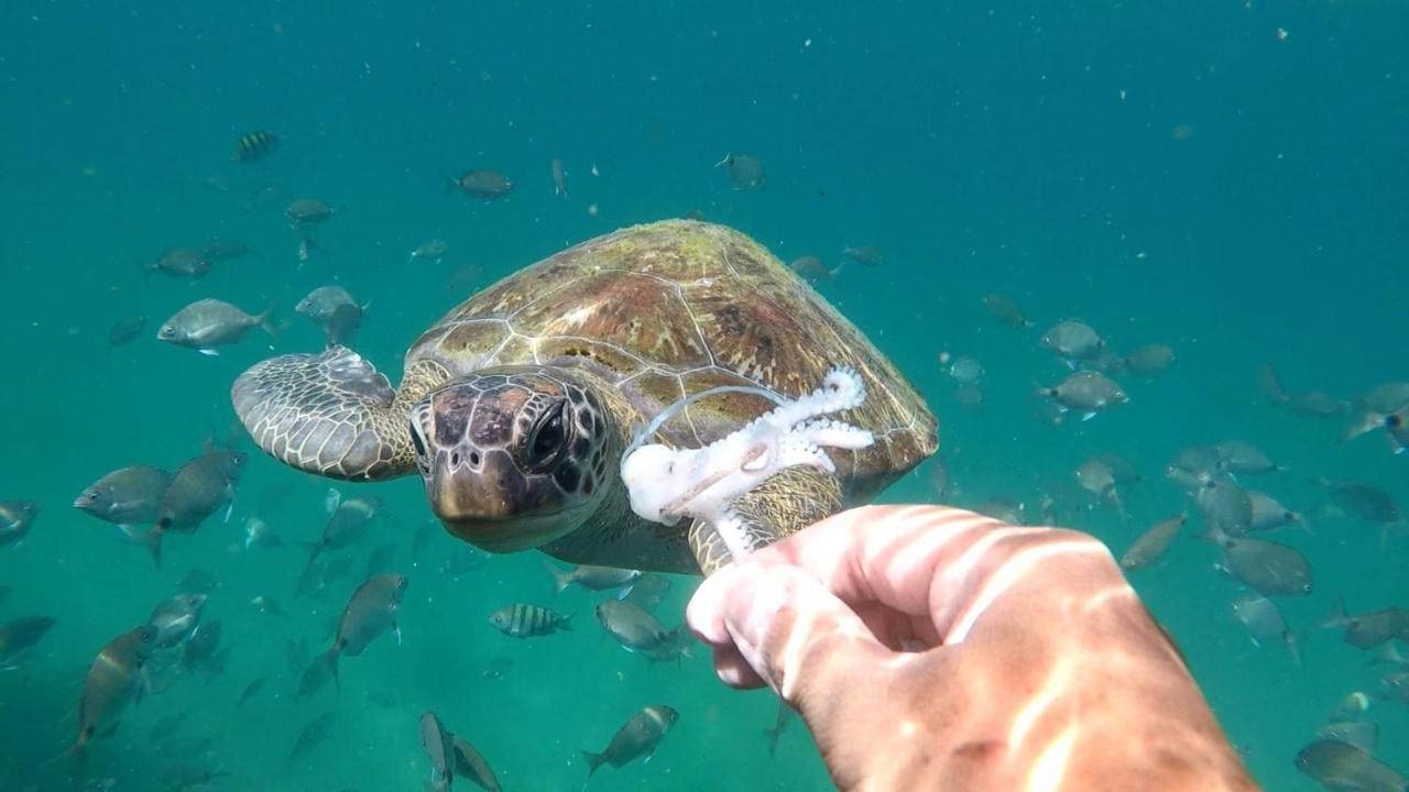 Pousada Convés - Ilha Grande Praia de Araçatiba Esterno foto